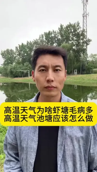 高温天气为啥虾塘毛病多？高温天气池塘应该怎么做？#南美白对虾养殖 #小棚养虾 #工厂化养虾 #冬棚养虾 #创作灵感