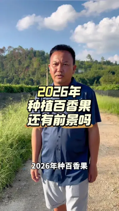 2026年种百香果还有前景吗？#百香果种植 #黄金百香果种植技术 #百香果种植技术 #百香果 #浩伟方