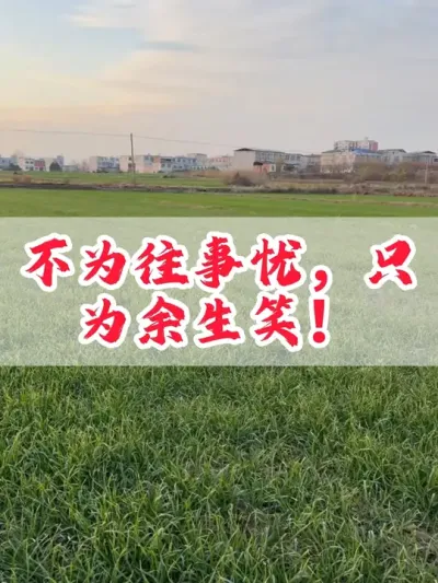 希望看到视频的你接下来，不为往事忧，只为余生笑，一切都顺顺利利！#三农 #我的农资之路 #农业 #农业种植 #田间地头走一走