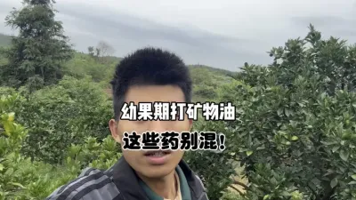 柑橘幼果期打矿物油，这些药别乱混！ #矿物油 #三农 #农业 #柑橘种植 #药害 