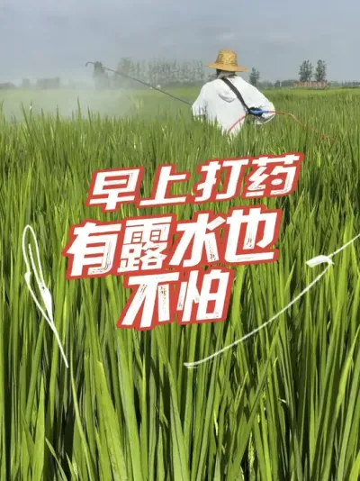 加助剂，叶片都是油亮油亮的#分享农业知识帮农民增产增收 #老百姓关心的话题