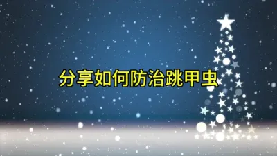 分享如何防治跳甲虫#跳甲虫防治