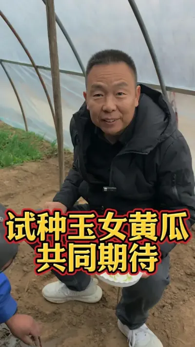 试种了一批玉女黄瓜，共同期待一下结果吧   @生菜杨姐 #蔬菜种植 #家庭小菜园 @DOU+小助手