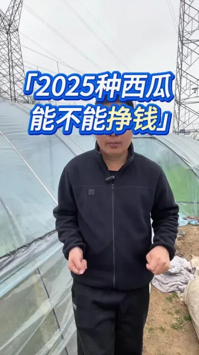 2025年种西瓜挣不挣钱？ #创作灵感 #西瓜种植 #大棚西瓜种植技术 #西瓜种植技术 #西瓜管理