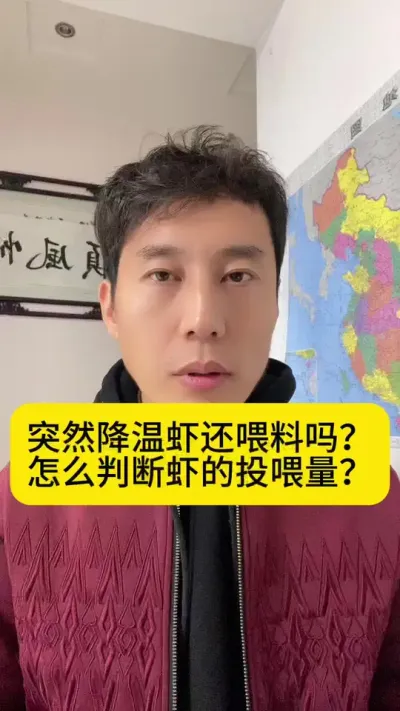 突然降温虾还喂料吗？怎么判断虾的投喂量？#南美白对虾 #高位池养殖 #小棚养虾 #冬棚养虾 #创作灵感