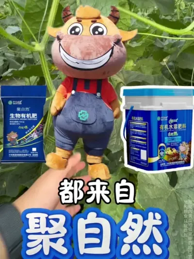 施肥聚自然，绿色新希望  #聚自然  #绿色新希望 #黄瓜