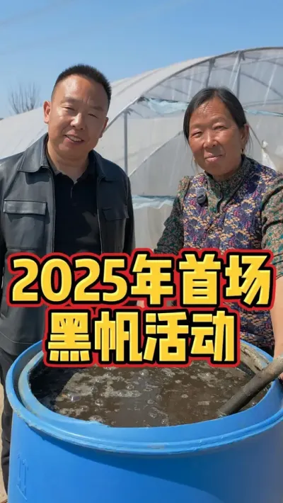 2025年首场黑帆活动就在本月20号，锁定#生菜杨姐 直播间可不要错过了 #种植的乐趣 #助力三农我们在行动 #上热门话题🔥🔥🔥