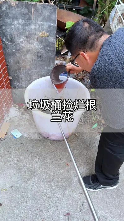 垃圾桶捡来的兰花，只要3步就能让它生根发芽#花卉绿植 #养花 #种植小技巧