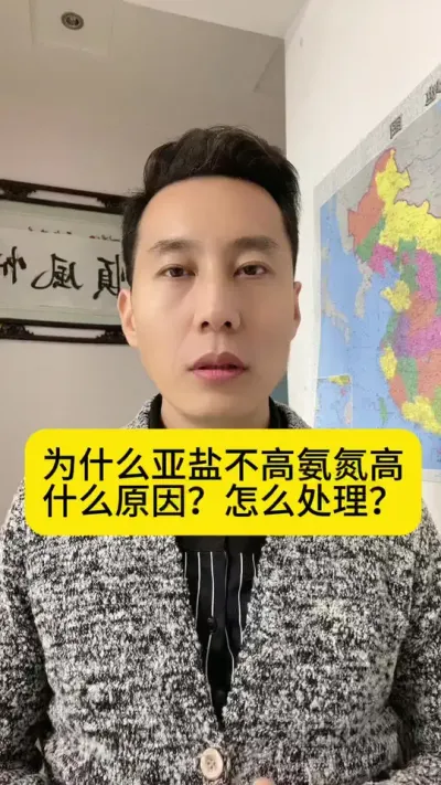 为什么池塘亚盐不高氨氮高？是什么原因？怎么处理？#南美白对虾 #高位池养殖 #小棚养虾 #冬棚养虾 #创作灵感