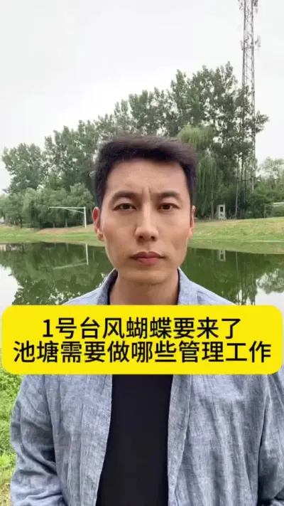 1号台风&ldquo;蝴蝶&rdquo;要来了，池塘需要做哪些管理工作？#水产养殖 #对虾养殖  #养虾人 #创作灵感 #台风蝴蝶