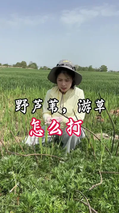灭茬神器，效果好！残留短#分享农业知识帮农民增产增收