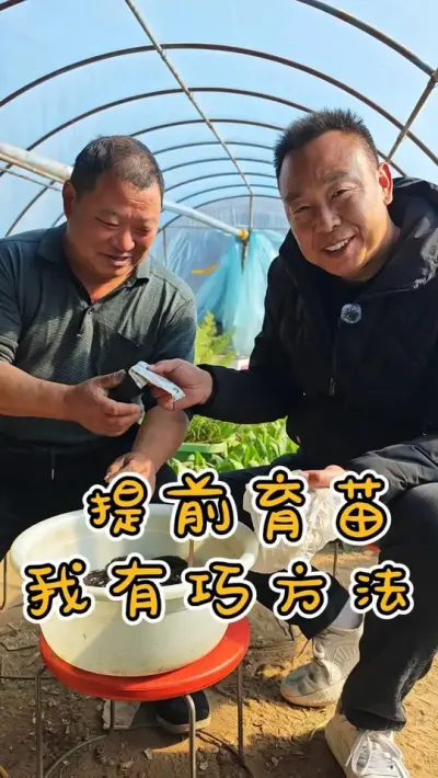 #蔬菜育苗 这个季节，想要提前育苗的朋友不知道怎么办的，一起跟着崔师傅来学一下吧 #温室种植 #种植小技巧 #上热门