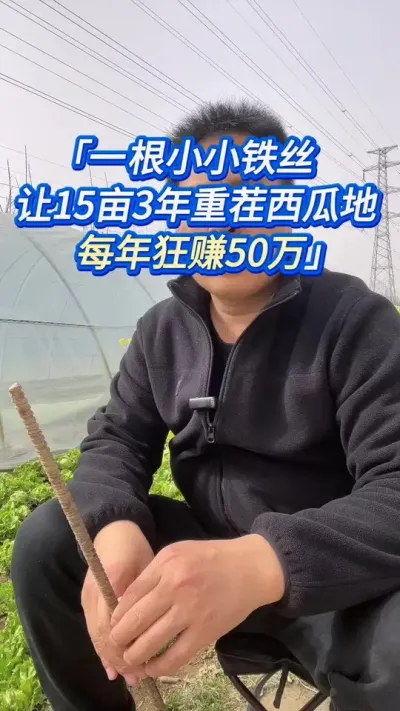 一根小小铁丝，让15亩3年重茬西瓜地，每年狂赚50万 #西瓜种植 #西瓜种植技术 #西瓜管理 #种西瓜 #大棚西瓜种植技术