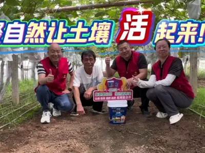 吃葡萄不吐葡萄皮的终极答案！#聚自然让土壤活起来！