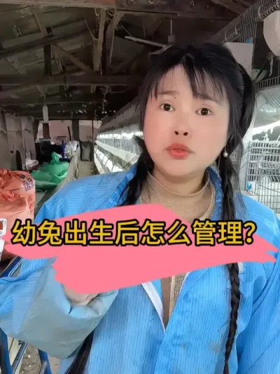#肉兔养殖 #养兔人 #农村创业养殖 #肉兔
