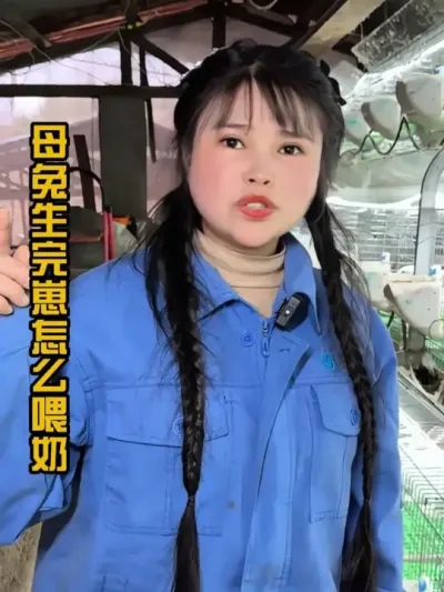 刚生产母兔喂小兔要注意的告诉你#肉兔养殖 #农村创业养殖 #我的养殖生活 #养兔人 #肉兔 #干货