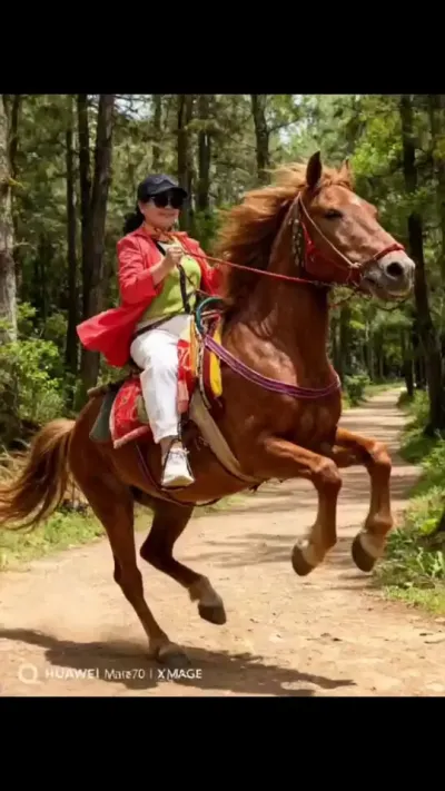 我需要静坐静思，也需要狂野奔放！