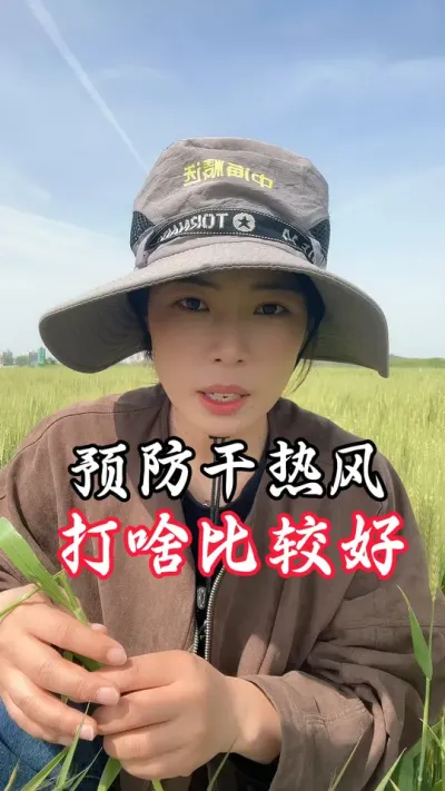 预防干热风#老百姓关心的话题 #分享农业知识帮农民增产增收