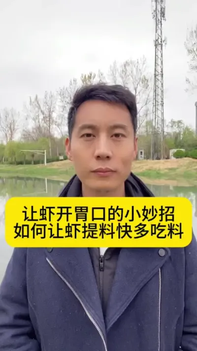 让虾开胃口的小妙招，如何让虾提料快多吃料？#南美白对虾养殖 #小棚养虾 #冬棚养虾 #高位池养殖 #创作灵感