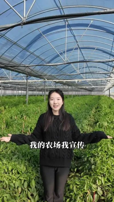 我的农场我宣传，今天宣传的事我们农场辣椒#农业种植 #新农人计划 #我的乡村生活 #我的乡村生活 #三农
