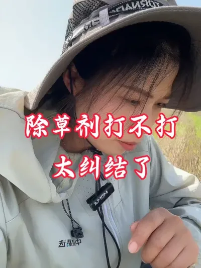 除草要抓紧了，后面都是雨。纠结的看看#水稻除草