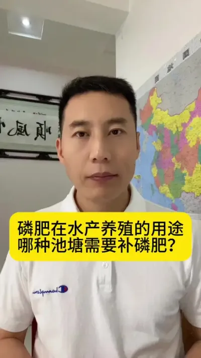 磷肥在水产养殖的用途？哪种池塘需要补磷肥？#水产养殖 #对虾养殖 #南美白对虾养殖 #养虾人 #创作灵感