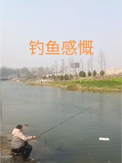 垂钓思故乡#钓鱼感慨