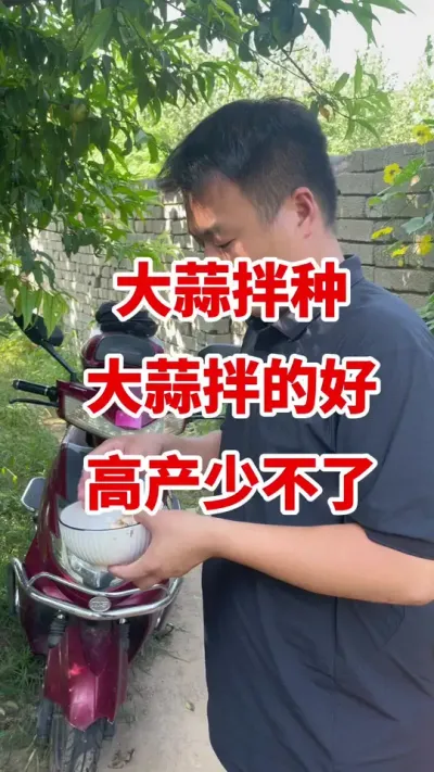 大蒜拌种大蒜拌的好高产少不了#大蒜种植 #大蒜种植技术 #大蒜高产 #大蒜拌种剂