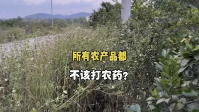 所有的农产品水果蔬菜都不应该打农药？ #三农 #柑橘 #农业 #果树管理 #农药 