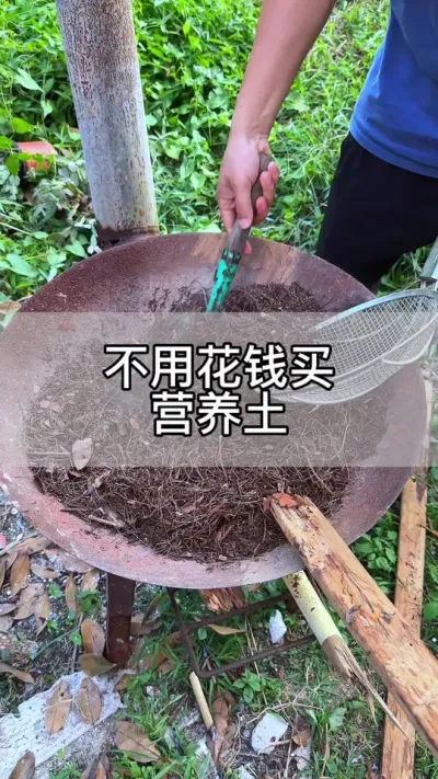 用这招营养土不用花钱买#种植小技巧 #养花小知识 #花卉绿植