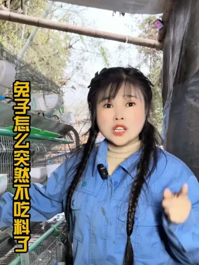 #肉兔养殖 #我的养殖生活 #养兔人 #自繁自养 #干货分享