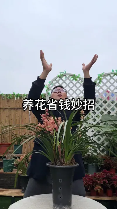 养花省钱小妙招 #花卉绿植 #种植小技巧