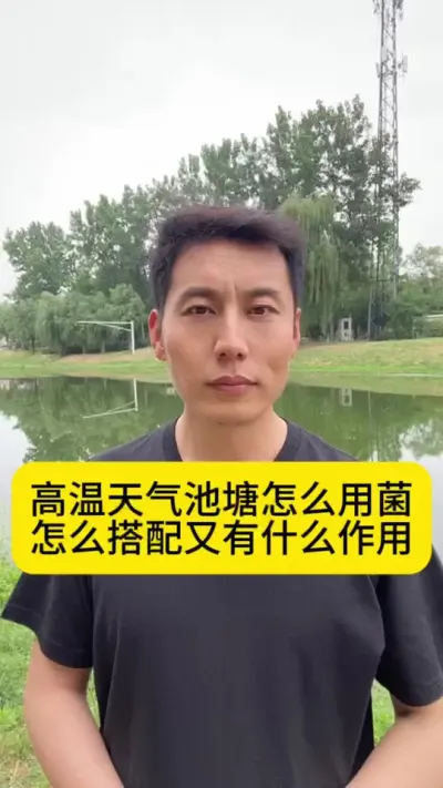 高温天气池塘怎么用菌？怎么搭配又有什么作用？#南美白对虾 #小棚养虾 #土塘养虾 #水产养殖技术 #创作灵感