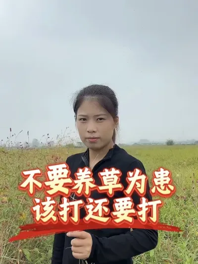 现在温度和光照不行，田埂灭草就用草甘膦，选不好的下方链接可以带回去看看#分享农业知识帮农民增产增收 #老百姓关心的话题