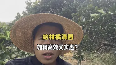 给采果后的柑橘清园，如何高效又实惠？ #柑橘采后清园 #法源 #尼索朗 #多宁 #龙灯清园宝 