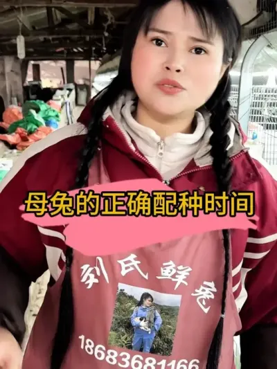 母兔的正确配种时间你们知道吗？#三农 #养兔人 #养兔技术经验分享 #肉兔养殖