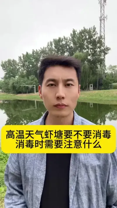 高温天气虾塘要不要消毒？消毒时需要注意什么？#南美白对虾 #土塘养虾 #小棚养虾 #养虾人 #创作灵感