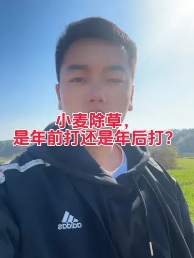 小麦田除草剂是年前打，还是年后打？#小麦除草剂 #农业 #小麦 #三农 #热点小助手