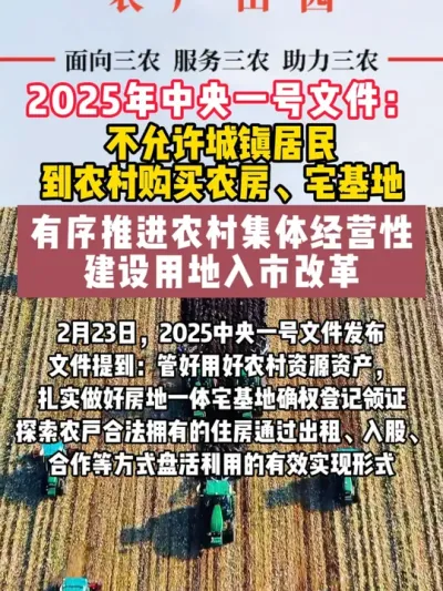 #中央一号文件 #中央一号文件解读 #政策 #三农 #乡村振兴