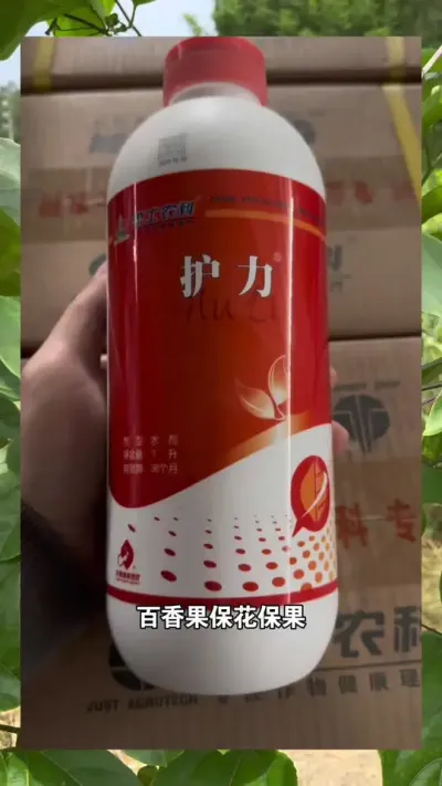 百香果保花保果#百香果种植技术 #百香果种植 #百香果 #黄金百香果种植技术 #浩伟方