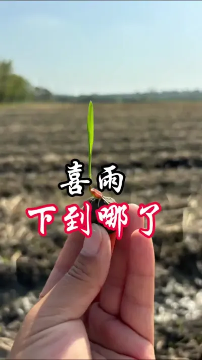 你是哪的，雨下到了么？#三农 #干旱