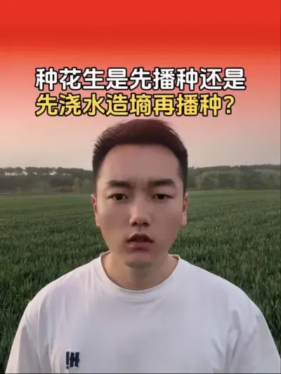 种春花生是先播种再浇水，还是先浇水造墒再播种？#农业植保知识分享 #分享农业知识帮农民增产增收 #传播农业小知识 #花生种植 #花生高产