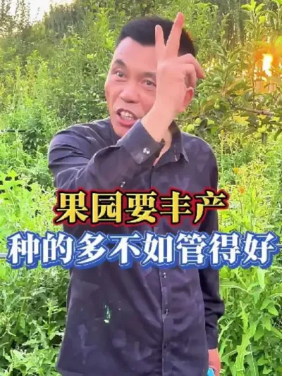 果园想丰产，种的多不如管得好#三农 #果园数据化管理 #分享农业知识帮农民增产增收 #果树种植