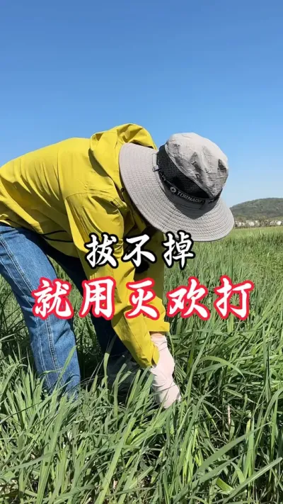 杂草用这个打，死草速度快，还不反弹，重要打完3天就能种#分享农业知识帮农民增产增收 #老百姓关心的话题