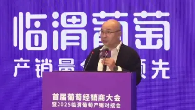 临渭葡萄产销量全国领先