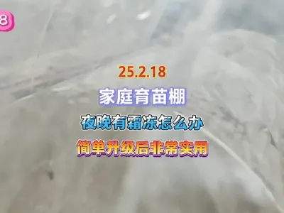 家庭育苗的小拱棚这样简单升级后，可以预防夜晚出现的霜冻 #三农 #蔬菜种植 #抖音助农 #种植小技巧 #我的小菜园 