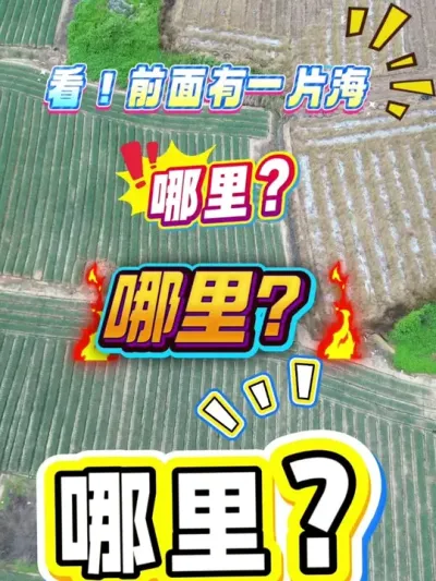 看前面有一片海！#绿色三夏新&ldquo;视&rdquo;界 #2025年中农控股短视频大赛