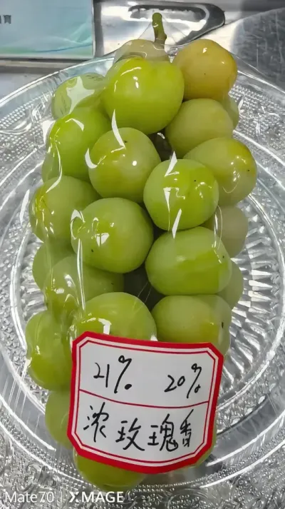 中国农学会葡萄分会理事长田淑芬研究员高度评价神园葡萄科技公司在葡萄育种方面取得的突出成就。#强烈推荐 #葡萄种植 #上热搜 #高端水果 #新农人计划