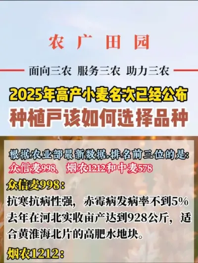 #小麦种植 #三农 #乡村守护人