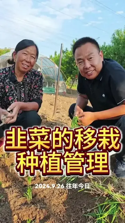 #韭菜种植 #蔬菜 #农业种植 #家庭菜园种菜